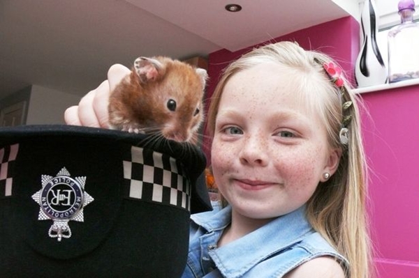 120731CLcuuchuot 64b45 Cảnh sát ra tay cứu chuột hamster, chuyện hy hữu nhất