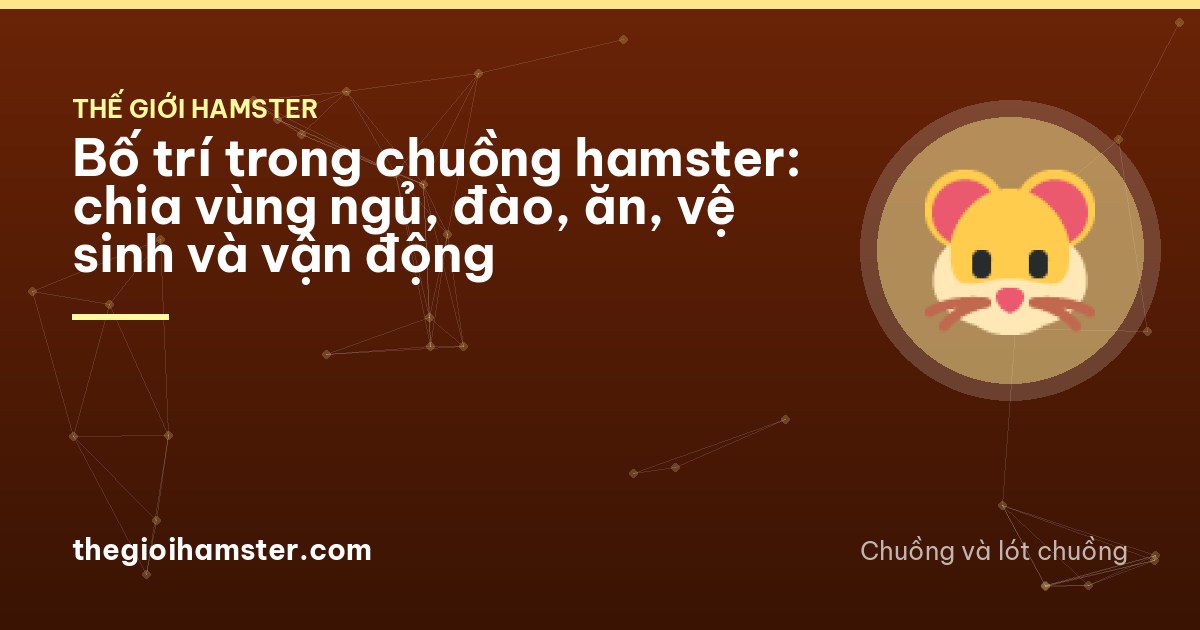 High angle view inside a spacious hamster enclosure with a sand bath corner, a wheel, a multi-room hide and seeds scattered over deep bedding, a winter white hamster exploring